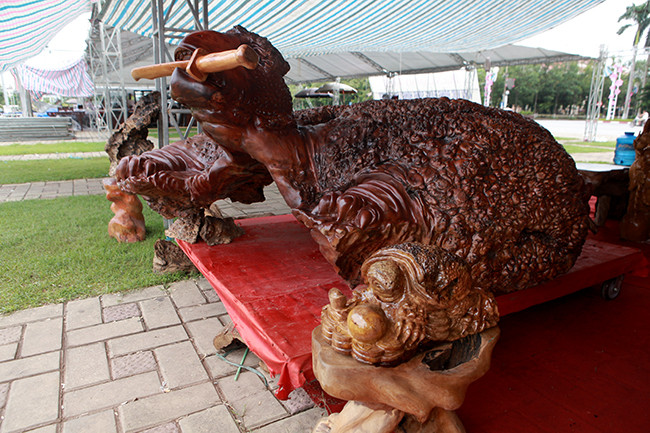 Cũng theo anh Phúc, do cách hình thành đặc biệt nên vân gỗ nu không theo một sự sắp xếp cố định nào, vân xoắn ngẫu nhiên, không có tim gỗ nên rất khó chế tác. Nếu không phải các thợ cao tay thì không ai dám nhận làm vì có thể vỡ, hỏng cả tác phẩm.