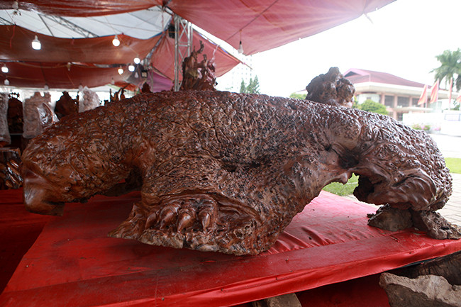 Tuy nhiên thời gian làm không dài bằng thời gian nghĩ ra ý tưởng. Năm cụ rùa ở hồ Gươm chết, anh mới nảy ra ý tưởng làm tượng cụ rùa từ khối gỗ nu đinh hương này.