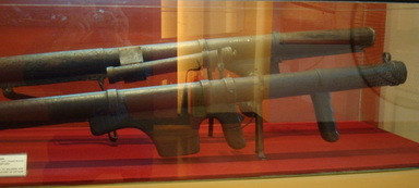 GS.VS Tran Dai Nghia – “ong Phat lam sung” khien the gioi sung sot-Hinh-3