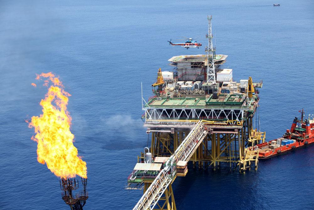 Ngoài thực hiện nhiệm vụ quân sự, quốc phòng như bay chuyên cơ, phục vụ diễn tập, phòng chống lụt bão, tìm kiếm cứu nạn, binh đoàn còn bay sản xuất kinh doanh ở các loại hình dịch vụ như phục vụ thăm dò khai thác dầu khí, tìm kiếm người Mỹ mất tích trong chiến tranh ở Việt Nam, du lịch…, đồng thời đào tạo phi công trực thăng và cung cấp dịch vụ sửa chữa các loại máy bay trực thăng…