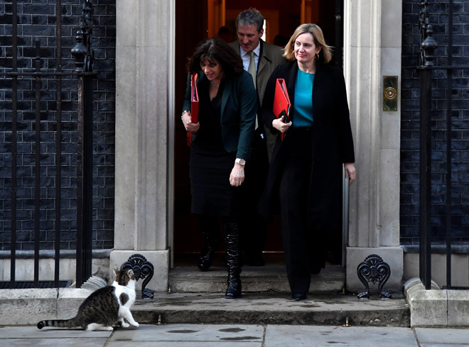 Bộ trưởng Bộ Năng lượng và Tăng trưởng Sạch Claire Perry tìm đến con mèo Larry khi rời khỏi số 10 Downing cùng Bộ trưởng Giáo dục Damian Hinds và Bộ trưởng Lao động và Lương hưu Amber Rudd. Các bộ trưởng và chính khách tại Anh không còn lạ lẫm với "chủ nhân đặc biệt" của dinh thủ tướng. Ảnh: Reuters.