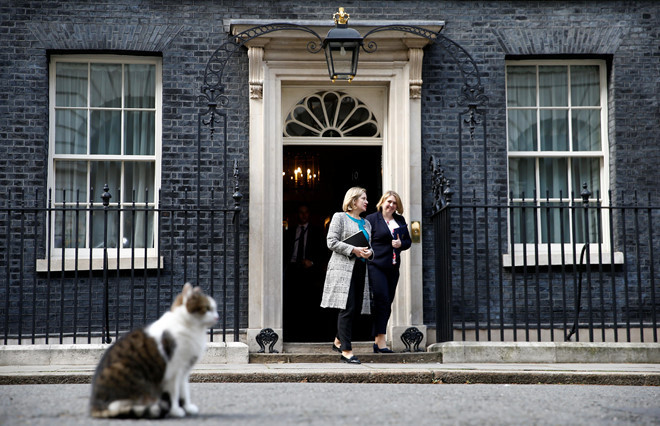 Mèo Larry đã ở số 10 Phố Downing từ thời thủ tướng David Cameron, sau đó là nhiệm kỳ của bà May và sắp tới là người thay thế bà. Khác với các vật nuôi trong Nhà Trắng, mèo Larry của dinh thủ tướng Anh không thuộc về một thủ tướng nào và nó sẽ luôn ở đó, bất chấp ai nắm quyền. Trong ảnh, Larry ở bên ngoài dinh khi Bộ trưởng Lao động và Lương hưu Amber Rudd cùng Ngoại trưởng Bắc Ireland Karen Bradley rời số 10 Downing. Ảnh: Reuters.