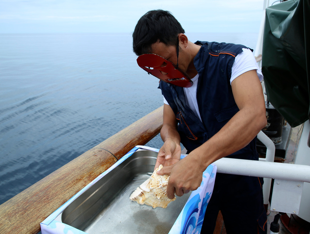 Nước biển được lấy lên từ khu vực biển thuộc đường xích đạo, ốc biển được dùng làm cốc uống nước