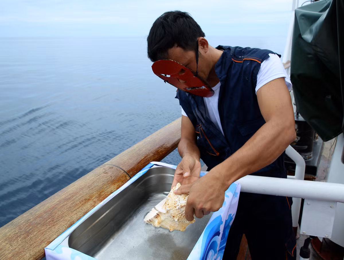 Nước biển được lấy lên từ khu vực biển thuộc đường xích đạo, ốc biển được dùng làm cốc uống nước