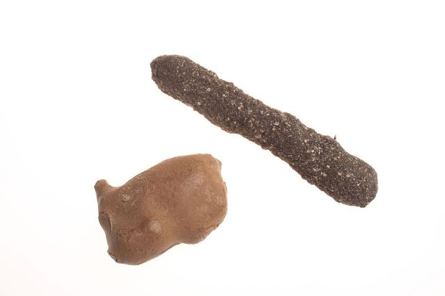 Thiết bị phát hiện kẻ xâm phạm này được CIA thiết kế với màu sắc tương đồng với màu đất nên rất dễ để ngụy trang. Sản phẩm chạy bằng pin này cũng đủ tinh nhạy để phát hiện các động thái cách nó 300m.