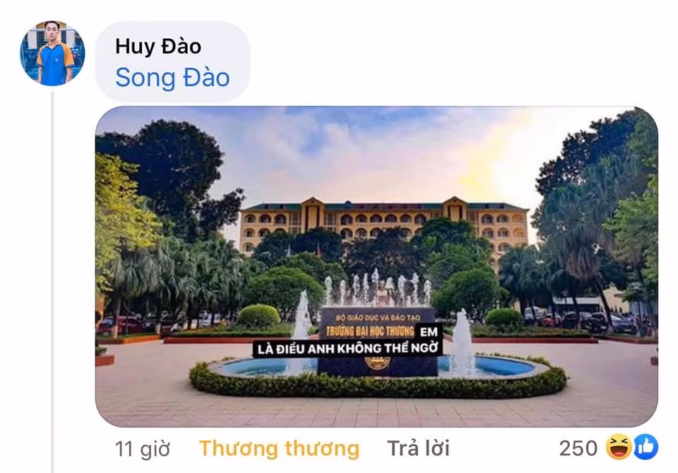 Hàng loạt tên trường nổi tiếng được đem ra để “nói thay” nỗi buồn mà ai cũng trải qua trong những tháng năm học Đại học.