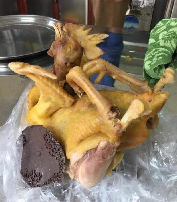 Tư thế yoga gì mà lạ lẫm thế này, con người còn không làm được mà gà nhà mình siêu quá.