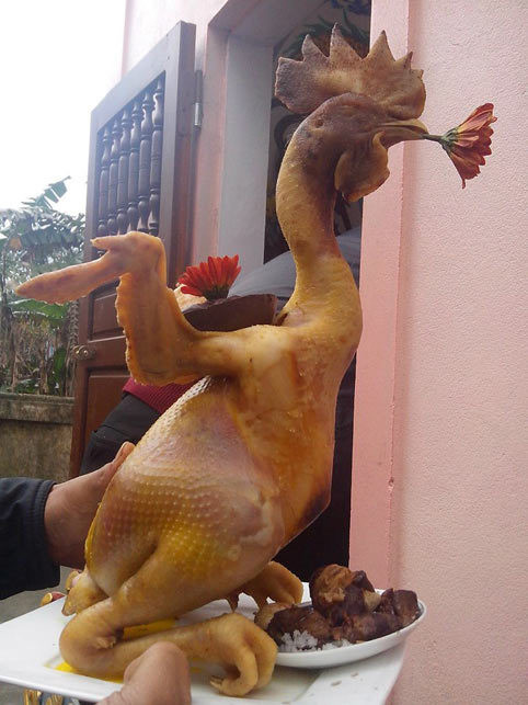 Gà là món ăn không thể thiếu trên mâm cỗ dịp Tết của người Việt. Tuy nhiên, để luộc được một con gà cúng không những ngon mà còn đẹp thì đòi hỏi người đầu bếp phải khéo léo lắm trong khâu tạo hình.