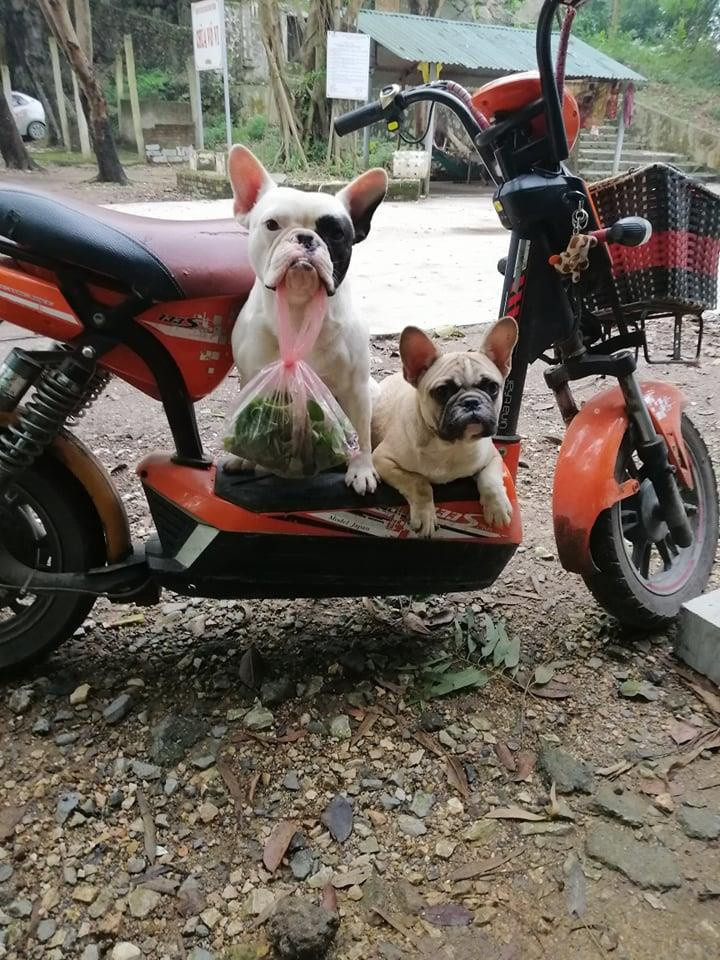 Đặc biệt, Ủn chỉ nhặt ve chai, còn những thứ rác bẩn khác chú không quan tâm. Kết quả, sau một năm, Ủn đã có một kho "chiến lợi phẩm" là chai lọ cũ.