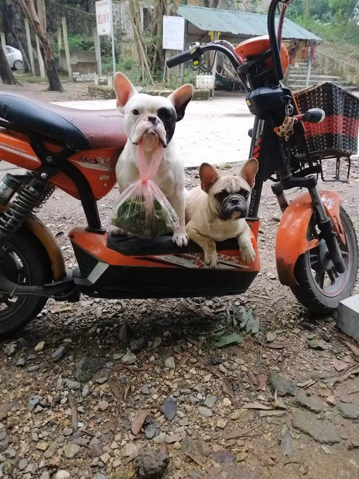 Đặc biệt, Ủn chỉ nhặt ve chai, còn những thứ rác bẩn khác chú không quan tâm. Kết quả, sau một năm, Ủn đã có một kho "chiến lợi phẩm" là chai lọ cũ.