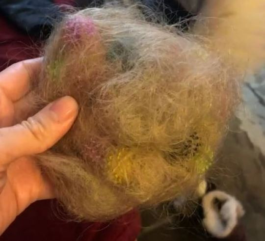 Bunchems nhanh chóng chiếm được cảm tình của các em nhỏ, tuy nhiên đây lại là "đồ chơi thảm họa" đối với nhiều ông bố bà mẹ tại Mỹ, thậm chí họ còn đòi tẩy chay sản phẩm này.