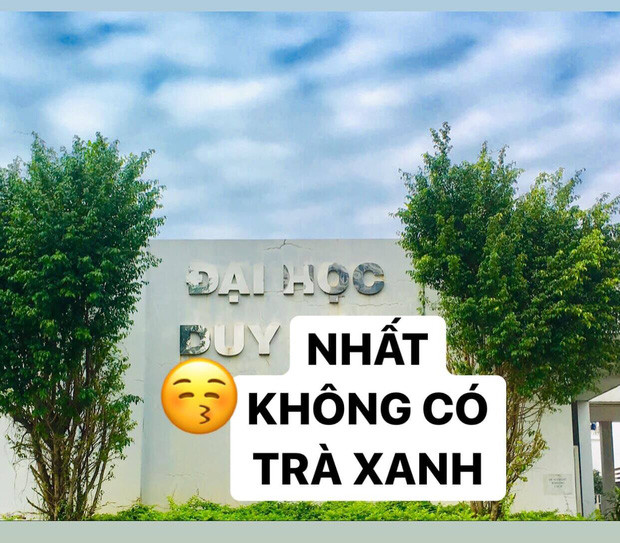Trend nối từ cũng không thể không nhắc đến "trà xanh". Ảnh: Tổng hợp Facebook