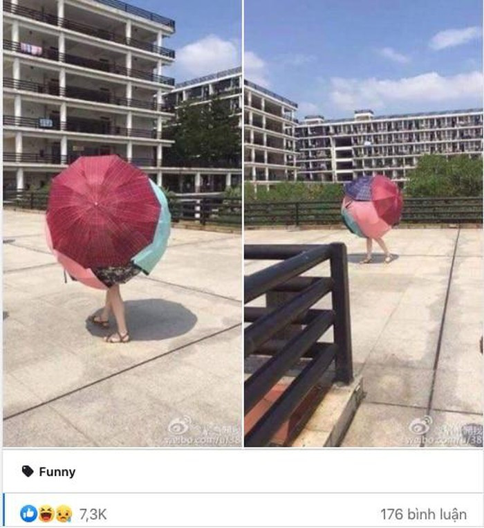 Đây là show thời trang sáng tạo chứ không phải chống nắng nữa rồi.