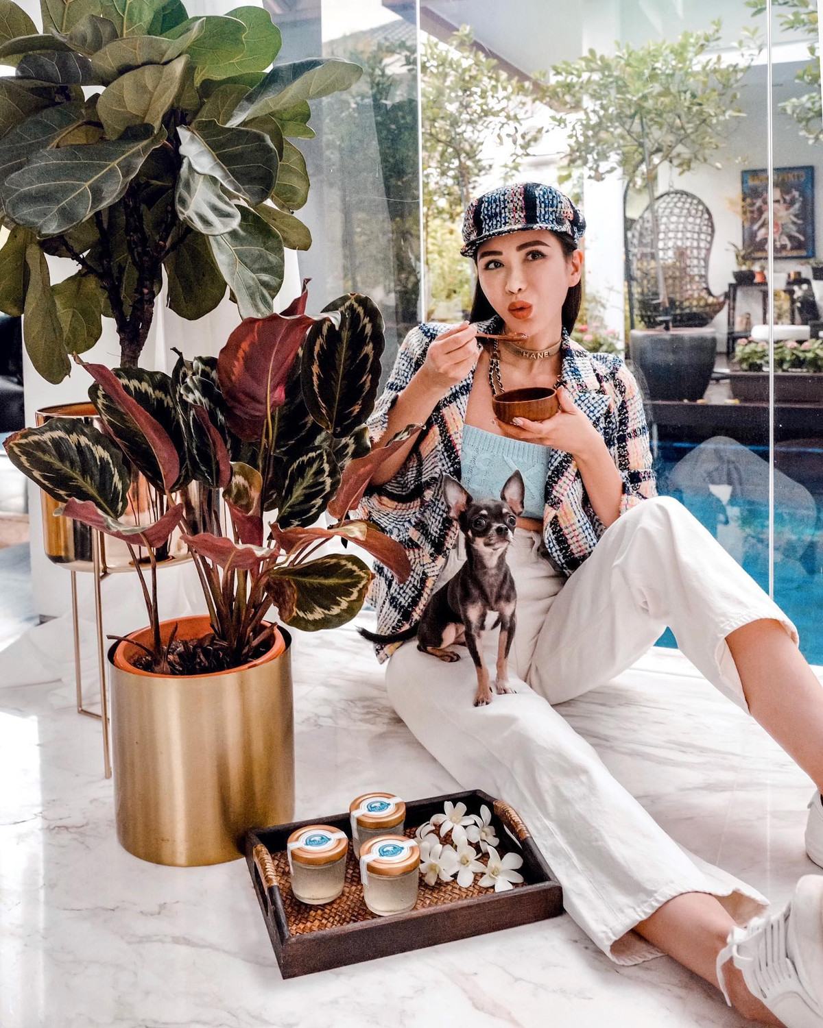 Những chiếc váy sang trọng của Jamie cũng đắt đỏ bởi chúng đều là thương hiệu lừng lẫy trên thế giới.