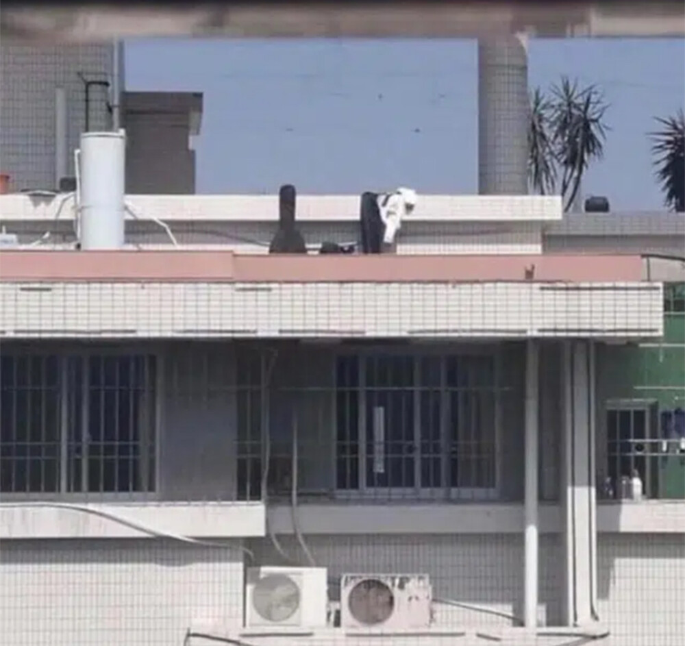 Tuy nhiên, không lâu sau đó, cả 2 đã quyết định để đàn sang một bên, cởi đồ và có hành động phản cảm phía sau bức tường chắn. Hành động này khiến tất cả phải ngao ngán và đỏ mắt chứng kiến.