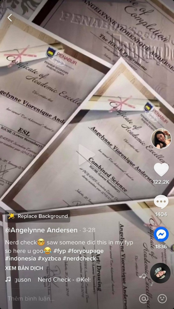 Trong đoạn clip vỏn vẹn 12s, Angelynne đã trưng ra cả loạt thành tích học tập: huy chương cả hòm; bảng điểm toàn A và chỉ lác đác vài con B; điểm ở lớp cũng chỉ 100, 100 và 100;... cùng đống giấy khen không đếm xuể.