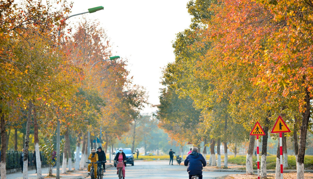 Thời điểm này, hàng cây phong tại đây đang đổi màu lá sang vàng cam tuyệt đẹp. Nơi đây nhanh chóng trở thành địa điểm check-in mới của các bạn trẻ Hà thành vào dịp cuối tuần.