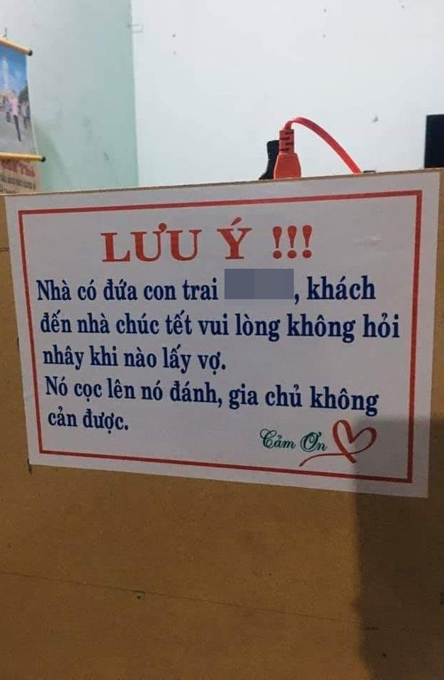 Nhiều người trẻ đã hướng ứng phong trào hài hước này như một thông điệp họ mong trong dịp gặp mặt Tết Nguyên đán.