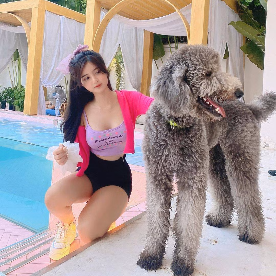 Sở hữu gương mặt bầu bĩnh xinh xắn, An Dâu được nhiều người gọi là búp bê đời thực hay cô gái có nhan sắc thiên thần.