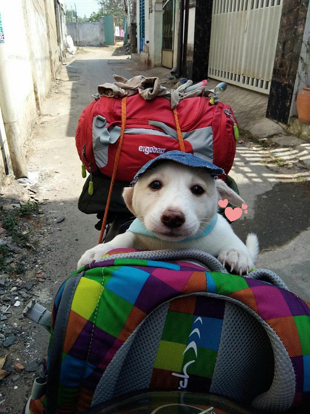 Đường xa lắm, phải mũ nón, khẩu trang, khăn choàng cẩn thận mới được. Ảnh: Tổng hợp