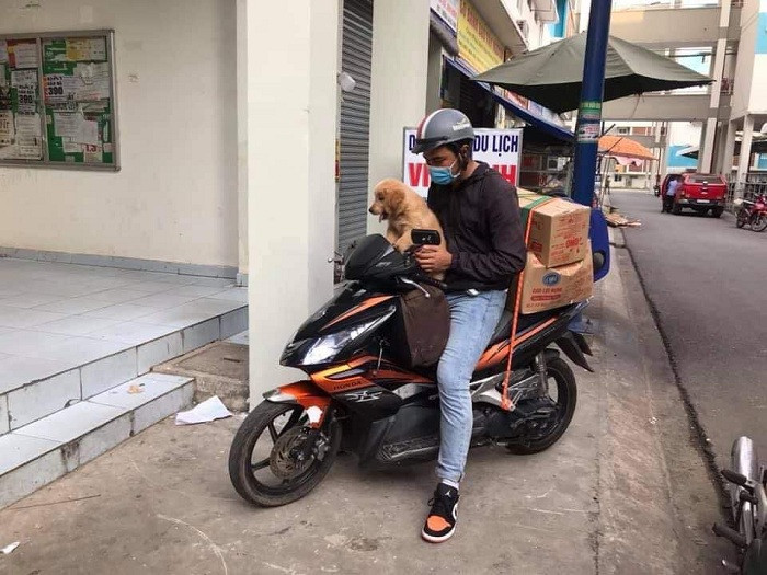 Bất chấp phương tiện đi lại là gì, xe khách, oto, tàu hỏa hay xe máy, người ta cũng phải mang theo người bạn đồng hành nhỏ là chú cún, chú mèo cưng về cùng cho bằng được.