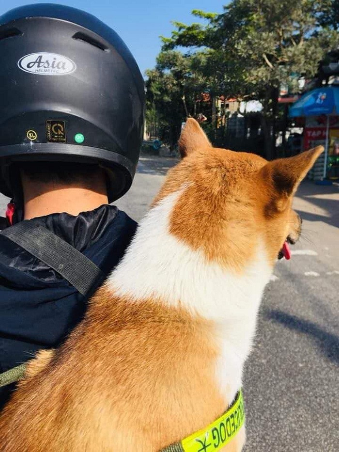 Chắc hẳn đây là một trong những hành trình về quê của sen và boss ấn tượng nhất.