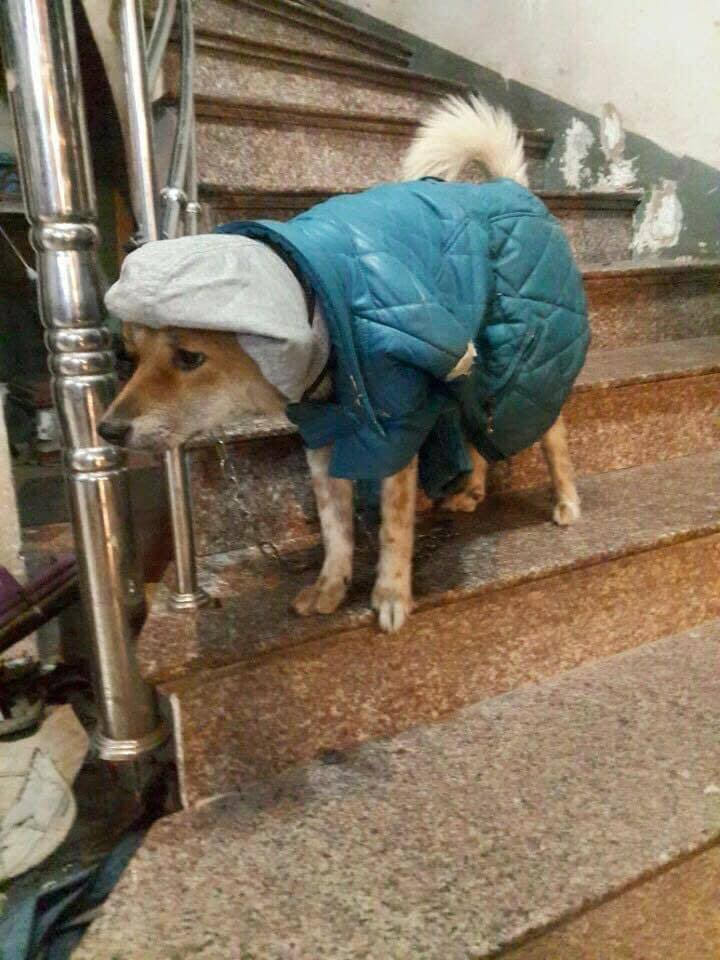 Ai nấy cũng đều trầm trồ về khả năng phối đồ của các con sen.