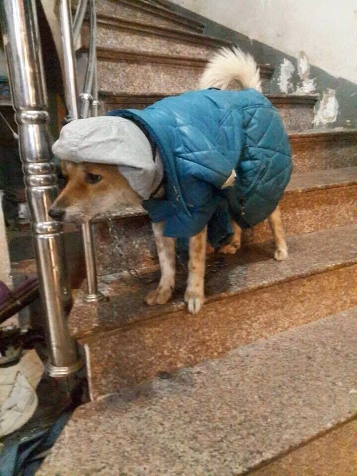 Ai nấy cũng đều trầm trồ về khả năng phối đồ của các con sen.