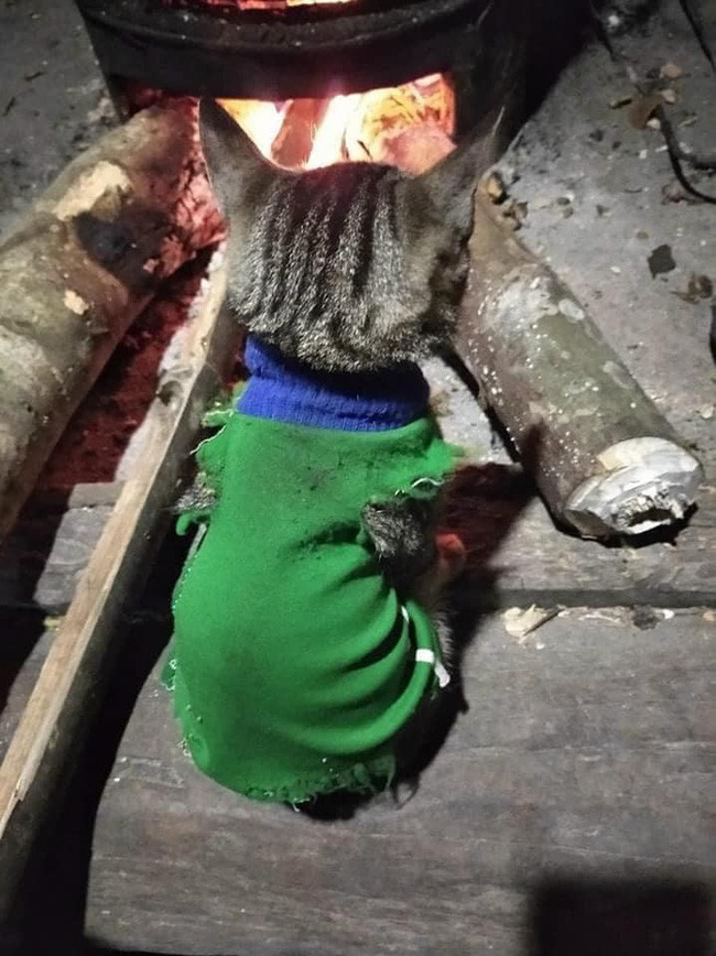 Giữ ấm là vô cùng cần thiết trong mùa đông lạnh giá.