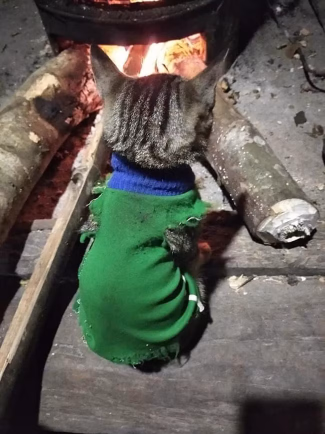 Giữ ấm là vô cùng cần thiết trong mùa đông lạnh giá.