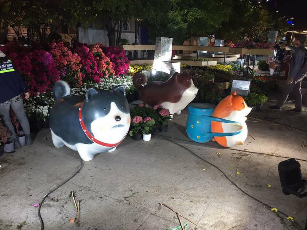 Chú chó với tạo hình không khác gì những con chuột túi.