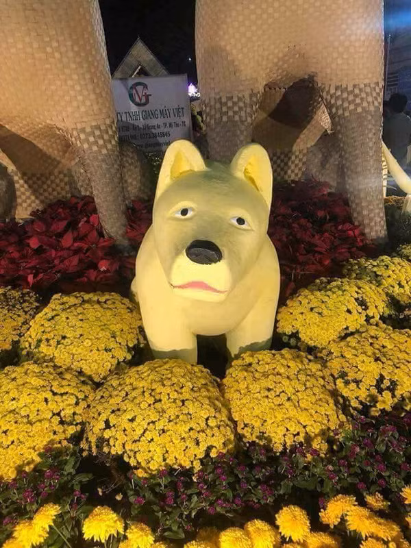 Mặc dù chú cún này rất cao to nhưng tâm trạng lúc nào cũng ngơ ngác và sợ sệt.