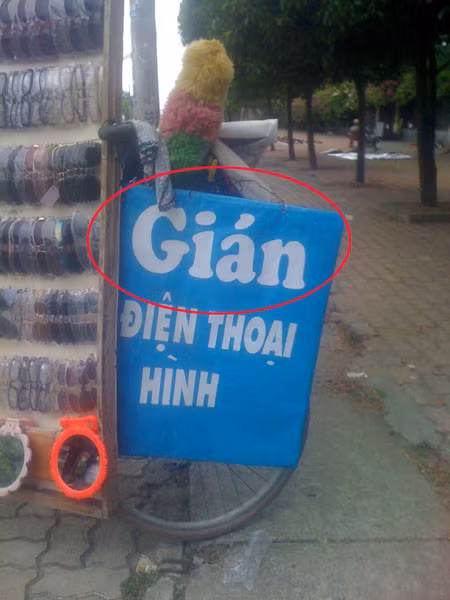 Ý của chủ nhân của tấm biển này có lẽ đó là "dán điện thoại" chứ không phải là con gián trong điện thoại.