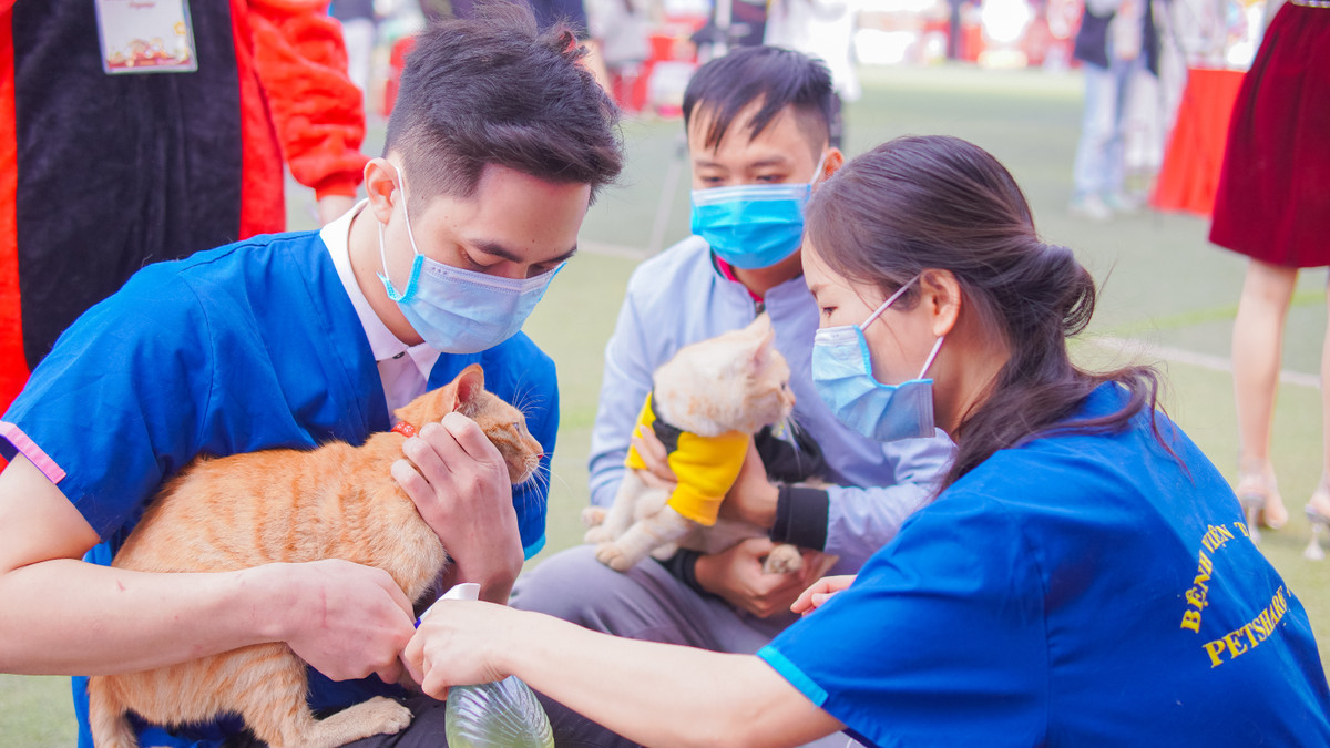 Ngoài những gian hàng với các sản phẩm dành riêng cho thú cưng, Hội chợ còn có những hoạt động sôi nổi khác như khám và tư vấn miễn phí cho thú cưng.