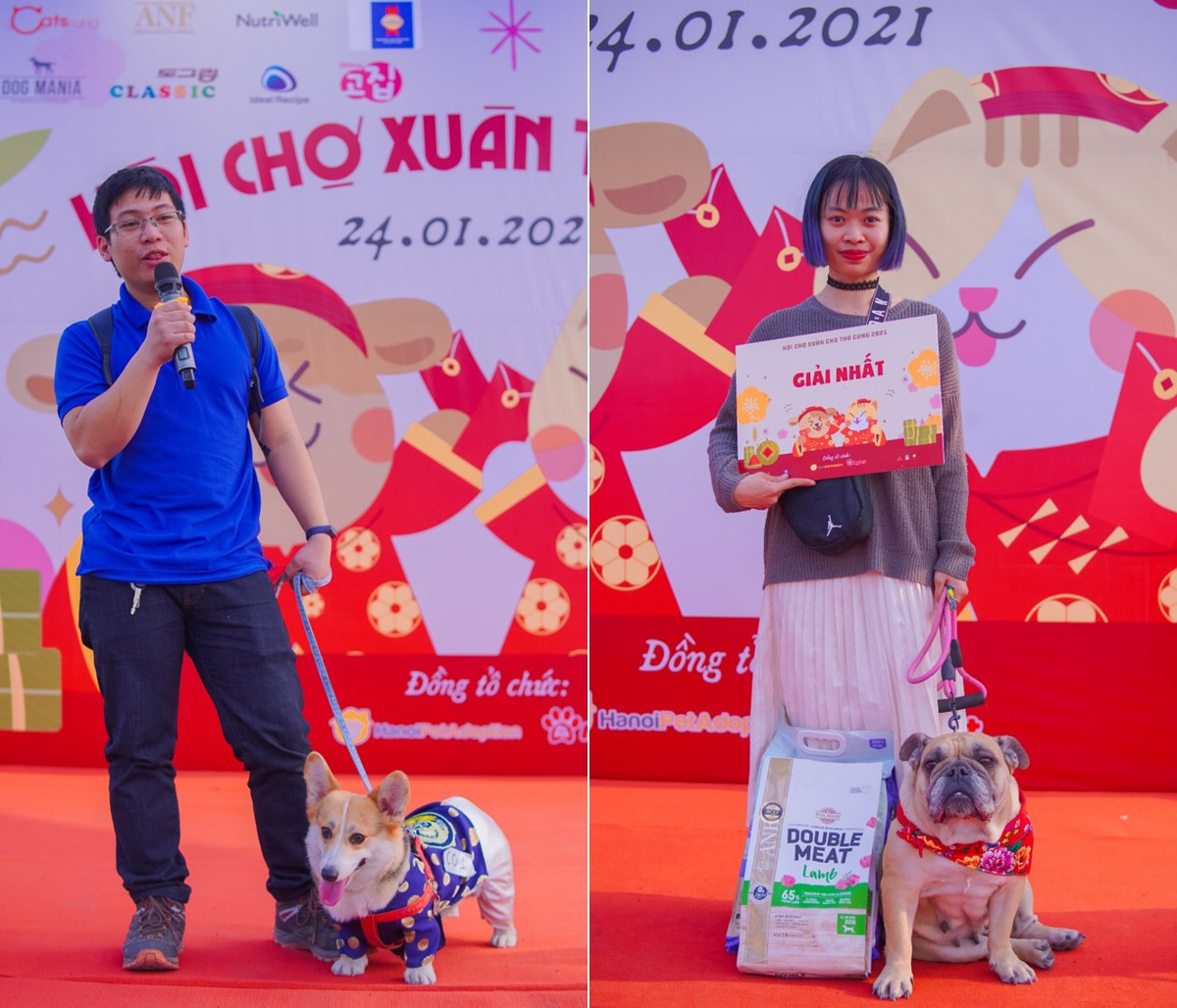 Sôi nổi nhất là cuộc thi Thời trang thú cưng để tìm ra những bé mèo và bé cún xinh đẹp nhất. Cuộc thi là màn “khoe sắc” đầy đáng yêu của các bé.