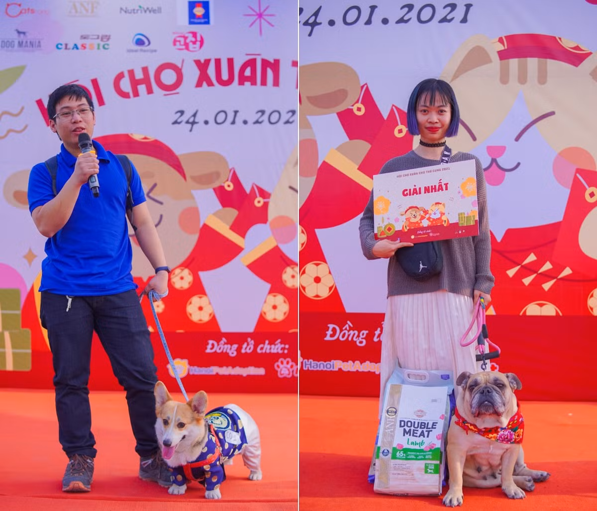 Sôi nổi nhất là cuộc thi Thời trang thú cưng để tìm ra những bé mèo và bé cún xinh đẹp nhất. Cuộc thi là màn “khoe sắc” đầy đáng yêu của các bé.