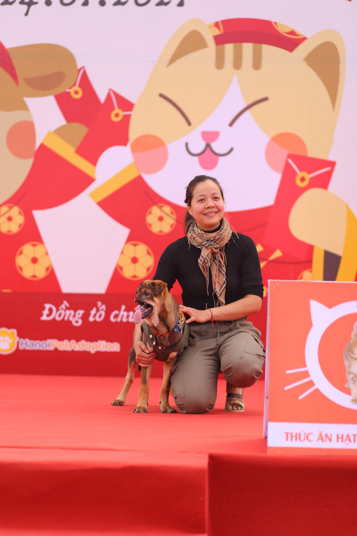 Cuộc thi cũng có rất nhiều bé có xuất thân đặc biệt, là những chú cún từng bị bỏ rơi hoặc gặp nạn nhưng may mắn đã tìm được mái nhà bình yên.