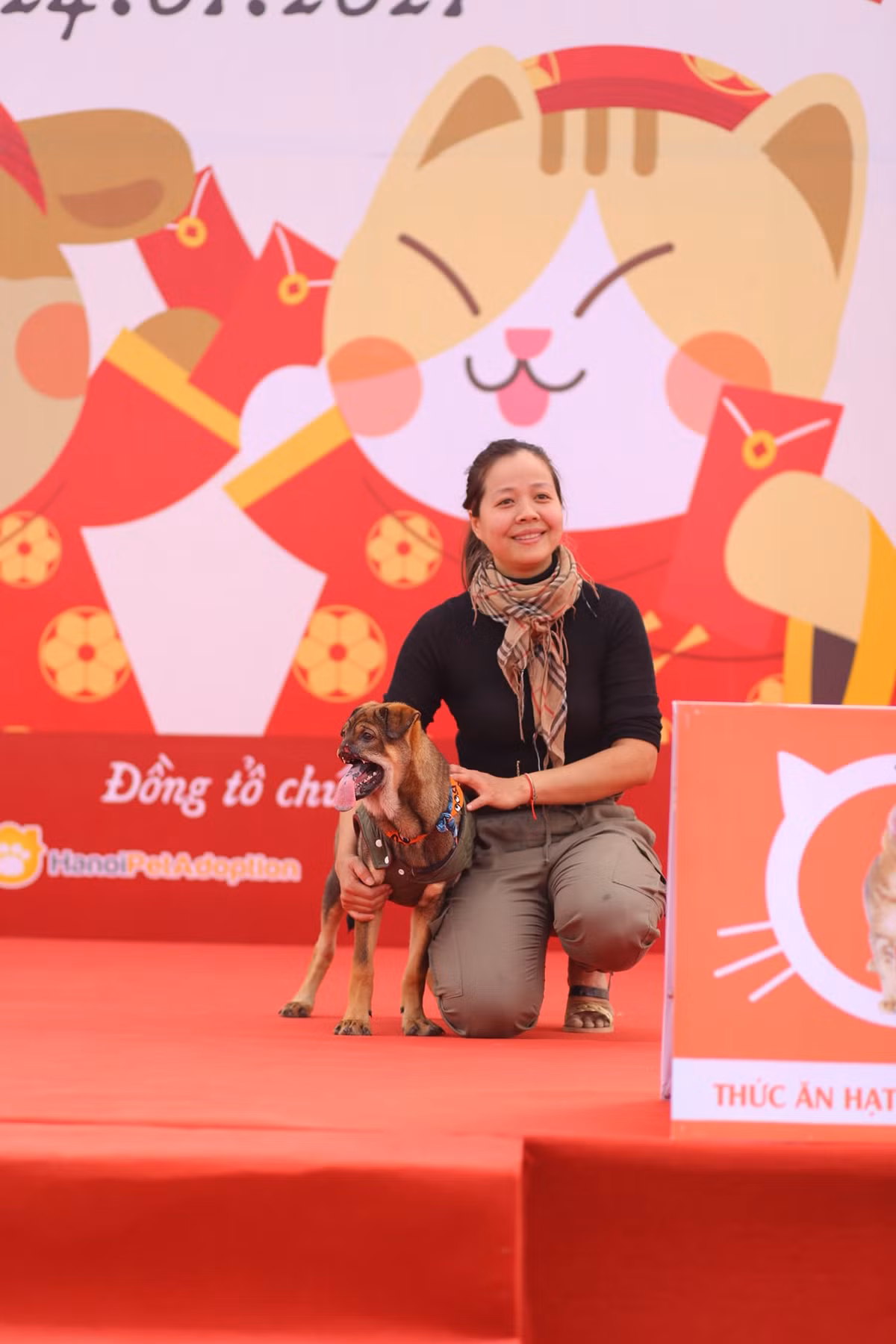 Cuộc thi cũng có rất nhiều bé có xuất thân đặc biệt, là những chú cún từng bị bỏ rơi hoặc gặp nạn nhưng may mắn đã tìm được mái nhà bình yên.