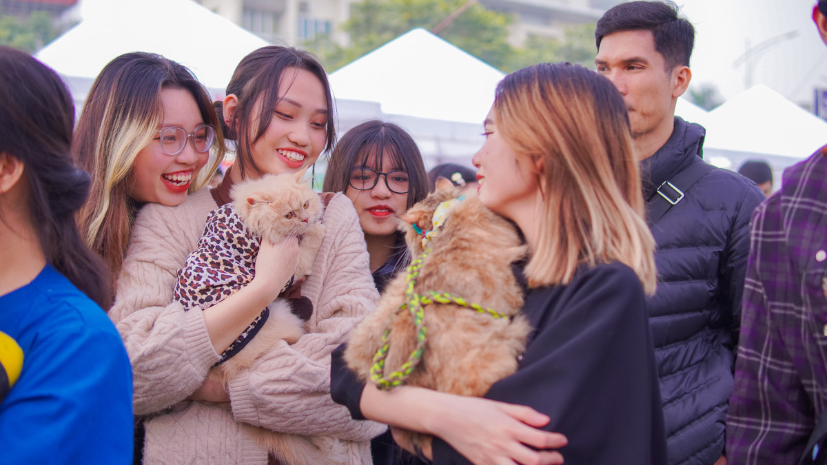 Ngày 24/1, Hội chợ Xuân thú cưng 2021 đã thu hút hàng trăm bạn trẻ, những người yêu thương chó mèo trên khắp Hà Nội.
