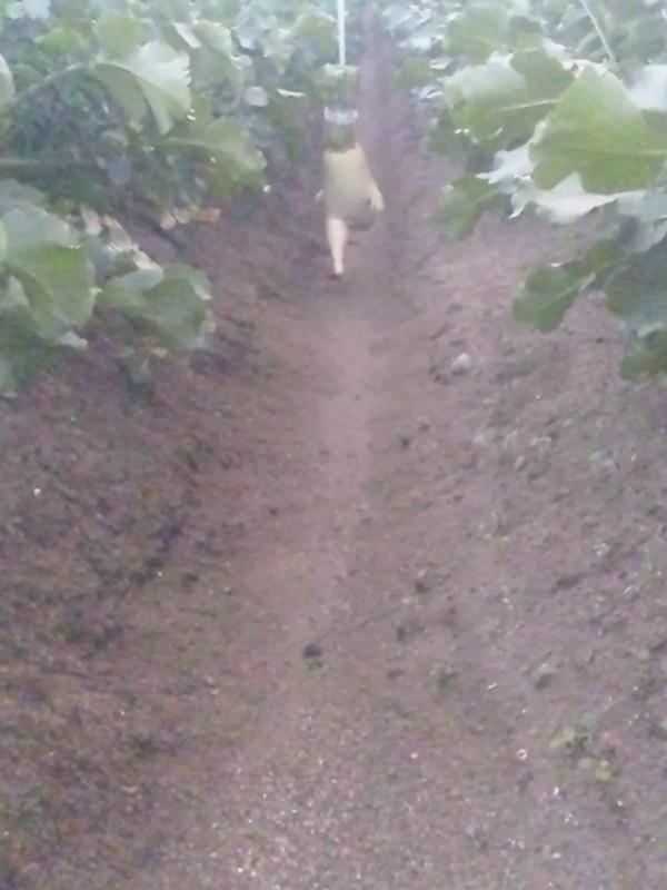 Sự nổi tiếng từ cây củ cải đã giúp cho anh có thêm nhiều thuận lợi trong kinh doanh. Người này cho biết số lượng đơn đặt hàng tăng vọt sau khi bộ ảnh của anh nổi tiếng trên Internet.