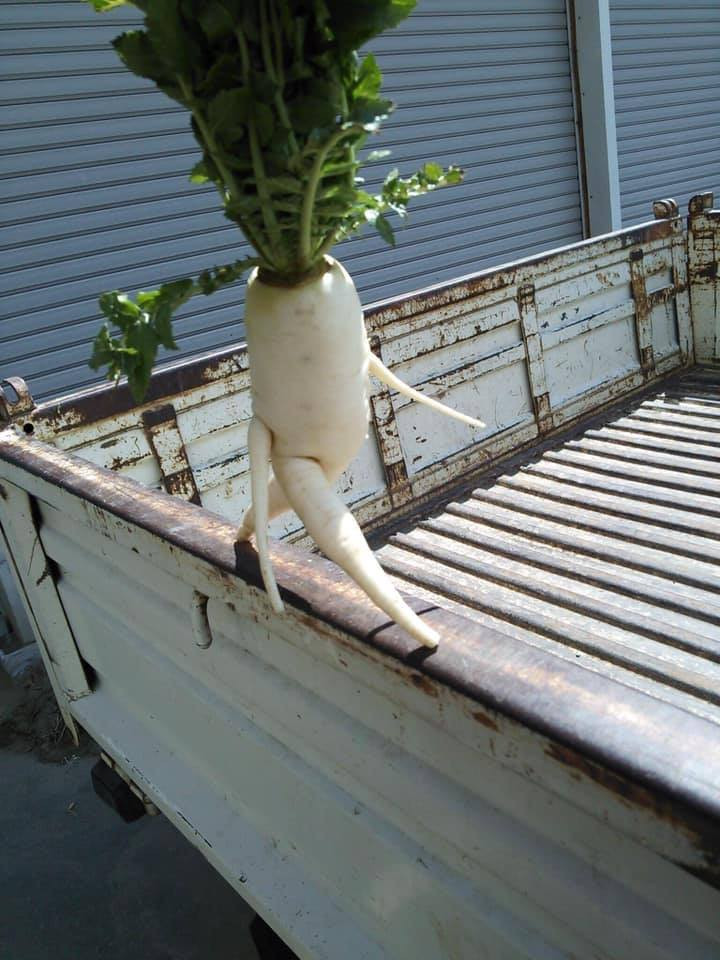 Được biết, mục đích của những hình ảnh này là khuyến khích mọi người dành thời gian cho việc tập thể dục thể thao, cải thiện sức khỏe.