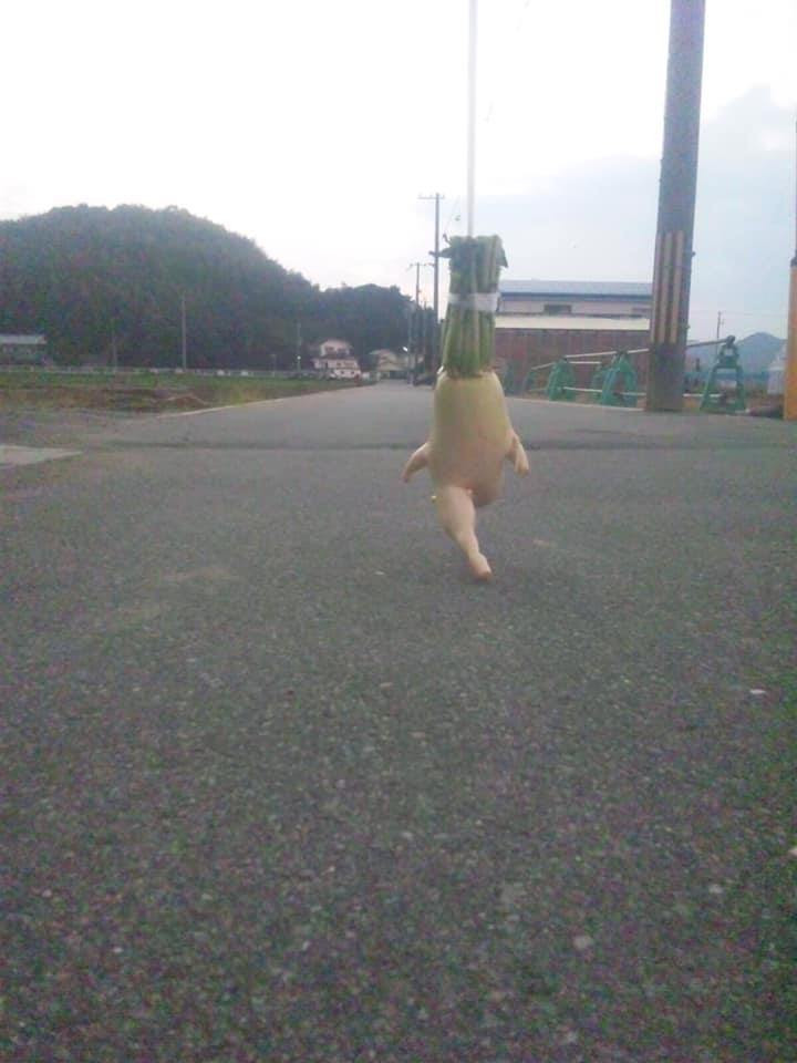 Anh chàng vui tính này thường chụp ảnh cây củ cải trắng do mình trồng trong tư thế chạy bộ trên những con đường, những cánh đồng tại nơi anh đang sinh sống.