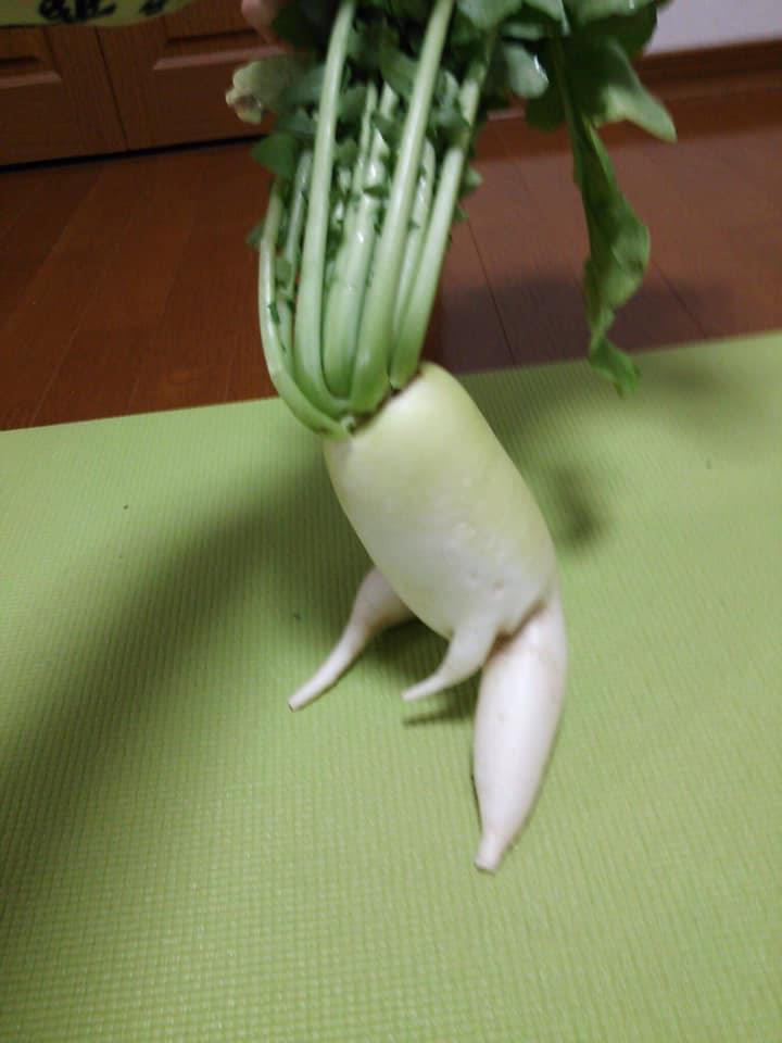 Sau khi hình ảnh cây củ cải năng động của anh nông dân Nhật Bản được nhiều người biết tới, nó đã nhanh chóng trở thành một hiện tượng mạng.