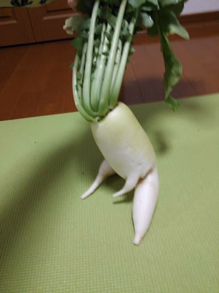 Sau khi hình ảnh cây củ cải năng động của anh nông dân Nhật Bản được nhiều người biết tới, nó đã nhanh chóng trở thành một hiện tượng mạng.