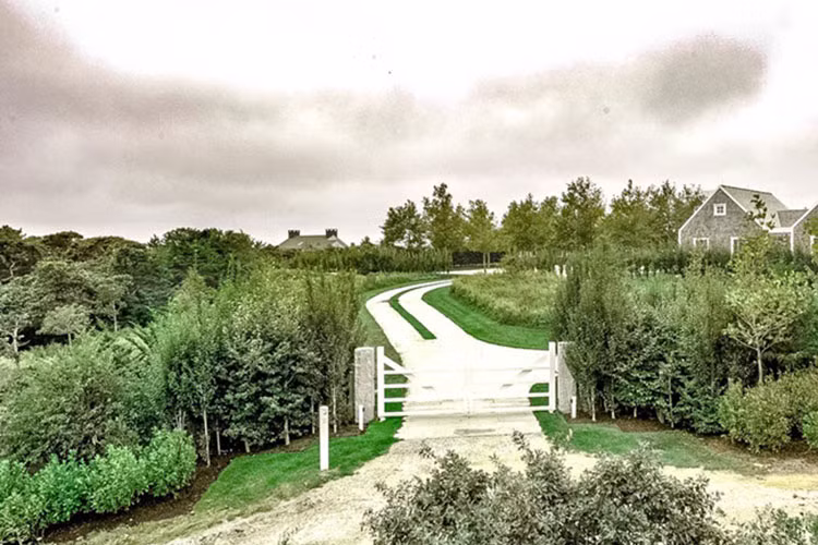 Không gian xung quanh là màu xanh mát mắt với những hàng cây tươi tốt, khu vườn được chăm sóc kỹ lưỡng.