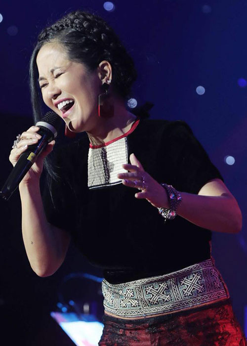 Có một sự nghiệp vô cùng thành công nhưng Hồng Nhung lại lận đận đường tình.