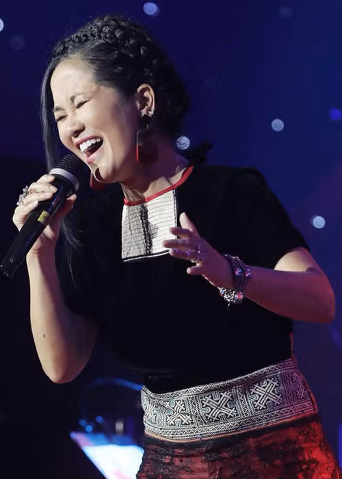 Có một sự nghiệp vô cùng thành công nhưng Hồng Nhung lại lận đận đường tình.