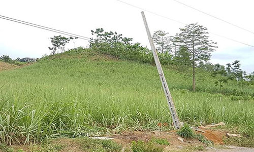 Hiện trường vụ việc.