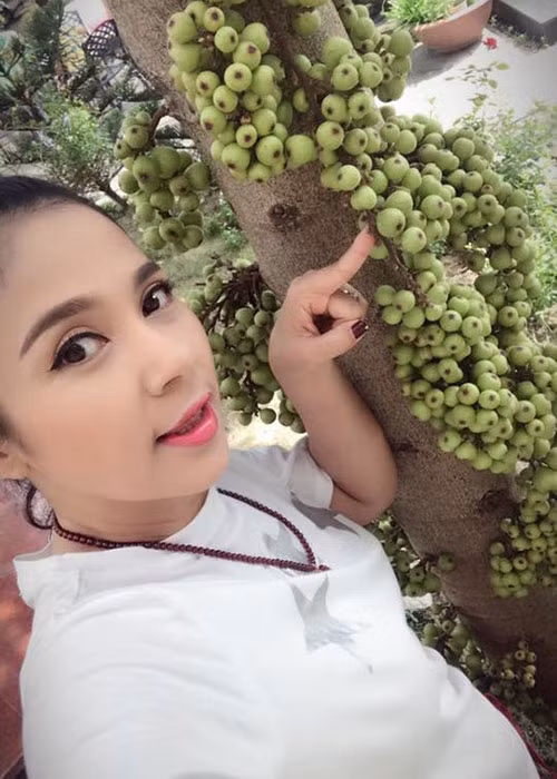 Việt Trinh khoe khu vườn trái cây ở quê.