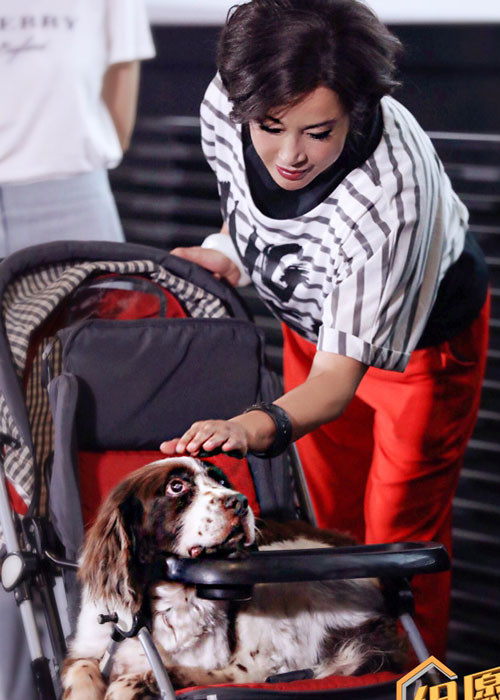 Dù đã ngoài 60 tuổi nhưng Lưu Hiểu Khánh vẫn giữ được làn da căng mịn, vóc dáng khá thon gọn.